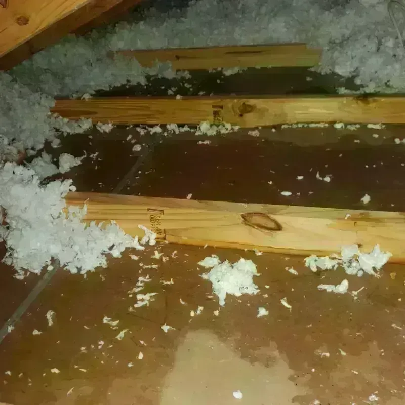 Attic Water Damage in City View, SC