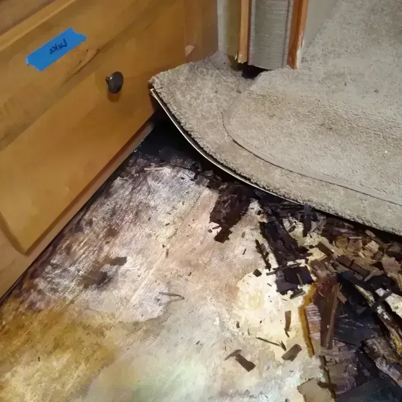 Wood Floor Water Damage in City View, SC